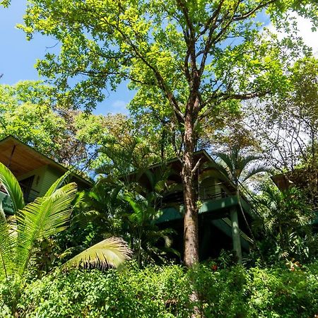 Arbol Verde Villas オホチャル エクステリア 写真
